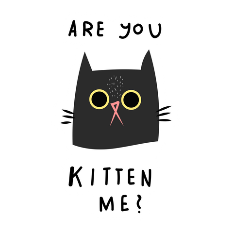 Are You Kitten Me Sticker - Sticker Mania